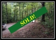 Tract 1 - Hampton Woods