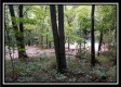 Tract 1 - Hampton Woods property photo