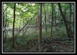 Tract 1 - Hampton Woods property photo