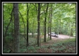 More of Tract 1 - Hampton Woods