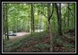 Tract 1 - Hampton Woods property photo