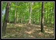 33 Acres Lithopolis Road property photo