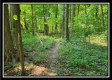 33 Acres Lithopolis Road property photo