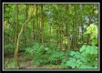 33 Acres Lithopolis Road property photo