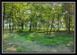 33 Acres Lithopolis Road property photo