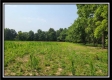 33 Acres Lithopolis Road property photo
