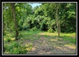 33 Acres Lithopolis Road property photo
