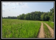 More of 33 Acres Lithopolis Road