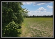 33 Acres Lithopolis Road property photo