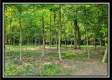 More of 33 Acres Lithopolis Road