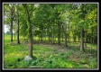 More of 33 Acres Lithopolis Road