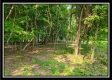 More of 33 Acres Lithopolis Road