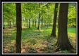 More of 33 Acres Lithopolis Road