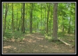 33 Acres Lithopolis Road property photo