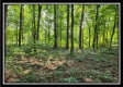 33 Acres Lithopolis Road property photo