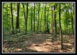 33 Acres Lithopolis Road property photo
