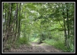 The Woods at Harmony Pond property photo