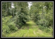 The Woods at Harmony Pond property photo