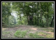 The Woods at Harmony Pond property photo