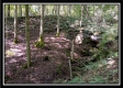 Tract 2 - Hampton Woods property photo