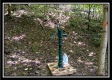 Tract 2 - Hampton Woods property photo