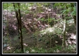 Tract 2 - Hampton Woods property photo