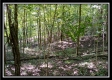 Tract 2 - Hampton Woods property photo