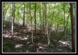 Tract 2 - Hampton Woods property photo