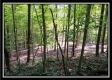 Tract 2 - Hampton Woods property photo