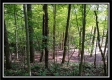 Tract 2 - Hampton Woods property photo
