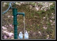 More of Tract 2 - Hampton Woods