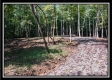 More of Tract 2 - Hampton Woods