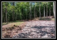 More of Tract 2 - Hampton Woods