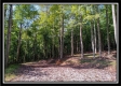 Tract 2 - Hampton Woods property photo