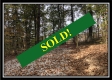 Tract 3 - Perry Oaks property photo
