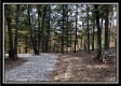 More of Tract 3 - Perry Oaks