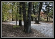 More of Tract 3 - Perry Oaks