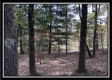 More of Tract 3 - Perry Oaks