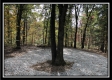 Tract 3 - Perry Oaks property photo