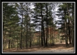 Tract 3 - Perry Oaks property photo