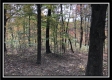 Tract 3 - Perry Oaks property photo