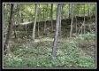 Big Rock Cabin - The Woods at Blue Rock property photo