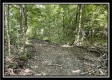 Big Rock Cabin - The Woods at Blue Rock property photo