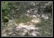 Big Rock Cabin - The Woods at Blue Rock property photo