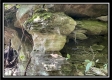 Big Rock Cabin - The Woods at Blue Rock property photo