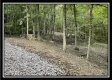 Tract 3 - The Woods at Blue Rock property photo