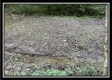 Tract 3 - The Woods at Blue Rock property photo