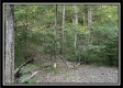Tract 3 - The Woods at Blue Rock property photo