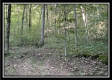 Tract 3 - The Woods at Blue Rock property photo