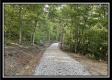 More of Tract 3 - The Woods at Blue Rock
